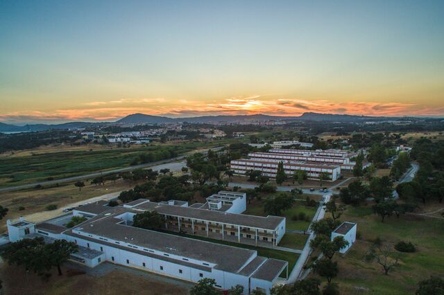 IPS com taxa de empregabilidade de quase 100%