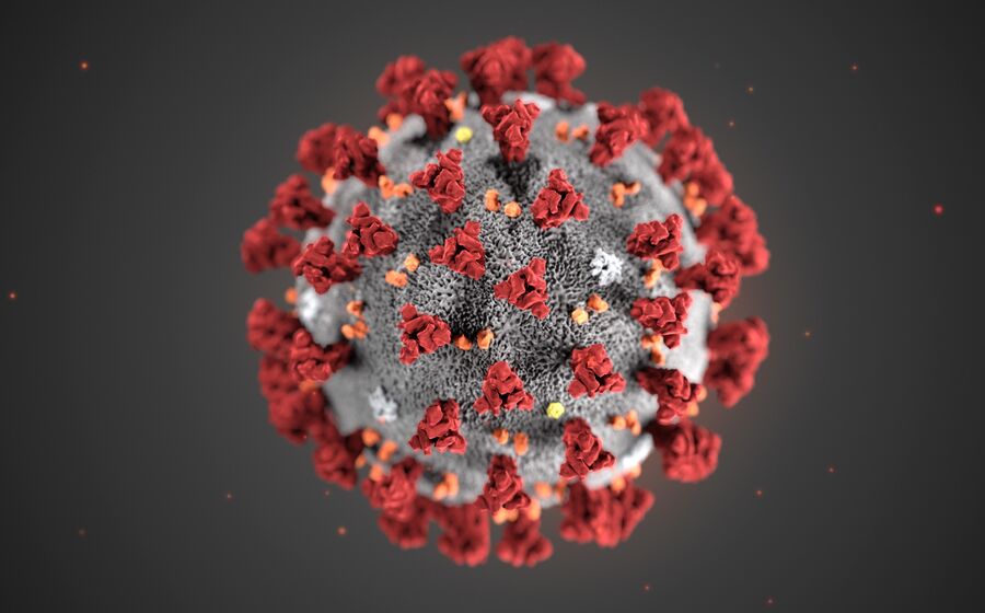 Coronavirus virus china