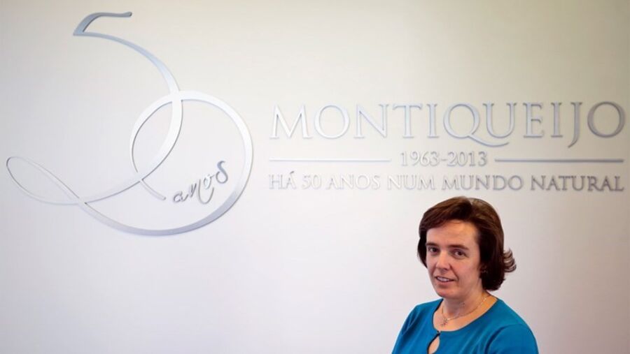 montiqueijo, queijo