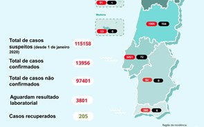 Morreram mais 29 pessoas em Portugal com covid-19. Casos aumentam 6,2% e doentes internados baixam