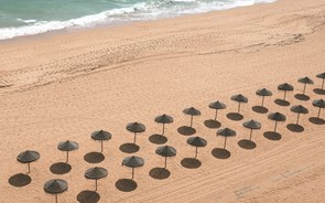 Concessionários de praia cumprem regras mas não conseguem 'fazer face aos prejuízos'
