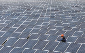 Lightsource bp vai investir 900 milhões em energia solar em Portugal