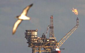 Petróleo desce após queda das reservas dos EUA