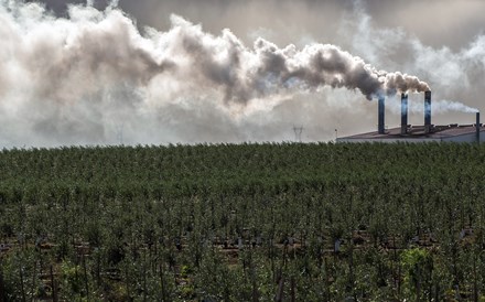 Confinamento fez cair emissões globais de dióxido de carbono em 17%