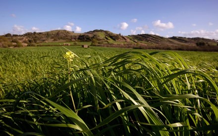 Exportações agroalimentares sobem 0,4% até junho para 3.285 ME