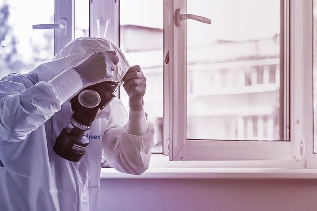 Sueca Anticimex anda a comprar empresas de controlo de pragas em Portugal. E vão 7