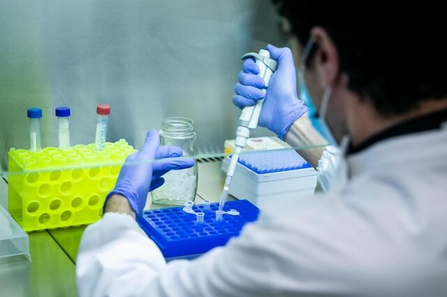 Covid-19: Variante da África do Sul identificada em Portugal