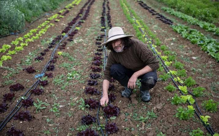 Miguel, agricultor, hortas da cortesia, São João das Lampas