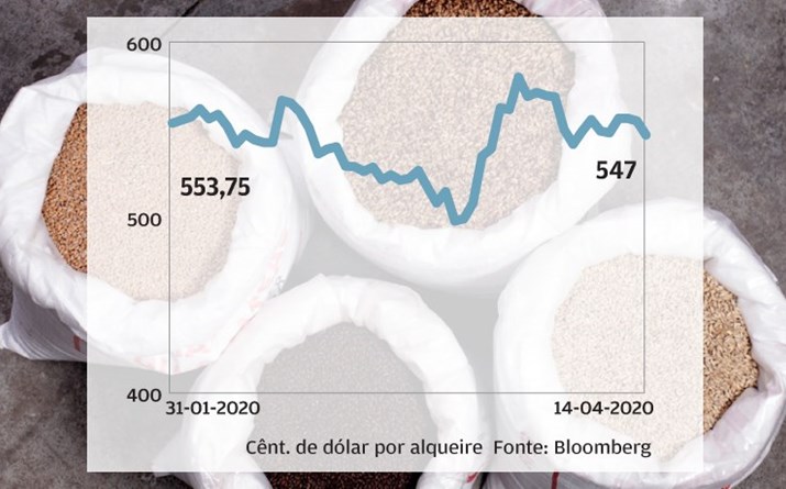 Trigo - Protecionismo alimentar impulsiona cereal