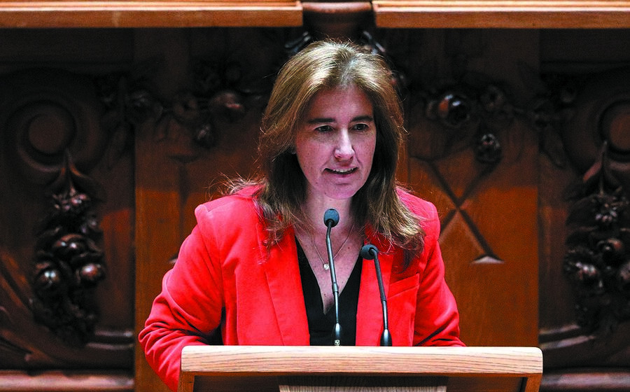 ana mendes godinho