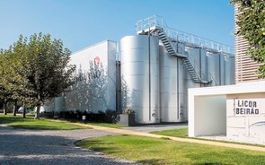 Produção de álcool-gel faz “esfregar mãos” de Alcanena a Guimarães 