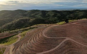 Um Alentejo em socalcos, como no Douro