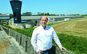 José Manuel Vilas Boas Ferreira 