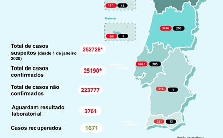 Morreram mais 16 pessoas em Portugal com covid-19 e casos confirmados baixam devido a registos duplicados