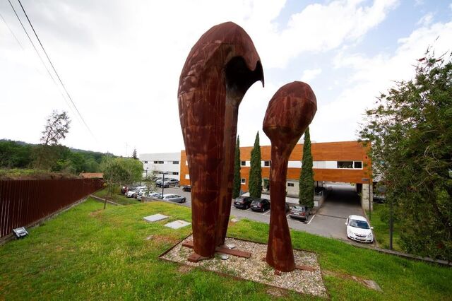 Casais com madeiras híbridas 