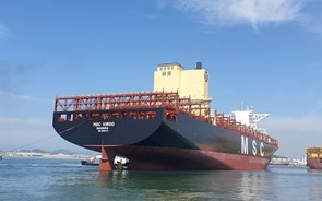 Madeira regista maior navio de sempre com bandeira portuguesa
