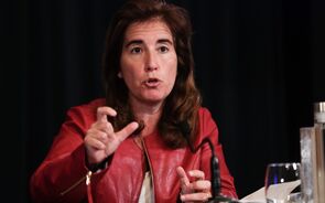 ana mendes godinho
