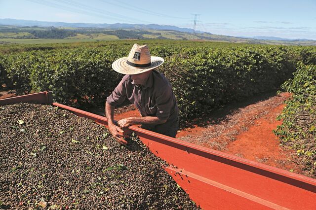 Vendas do setor do café crescem 3% em 2021 para 717 milhões