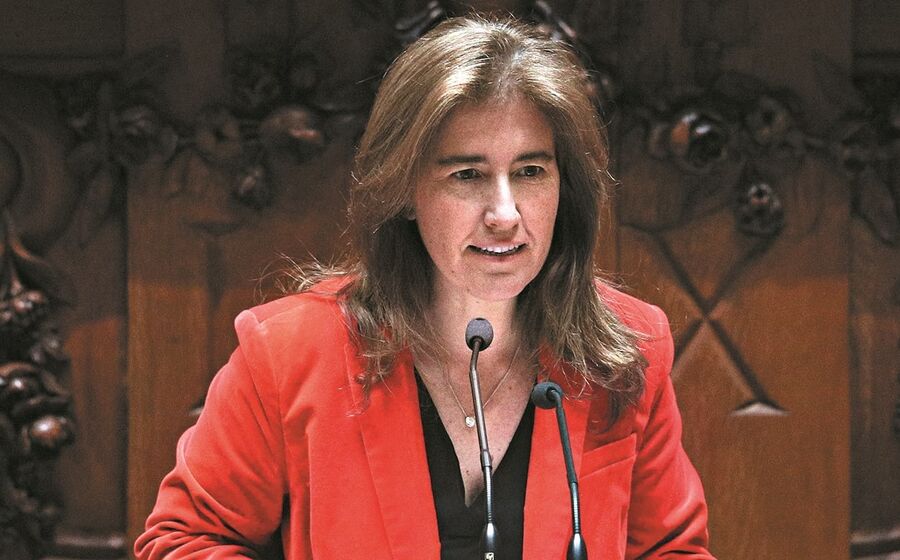 ana mendes godinho