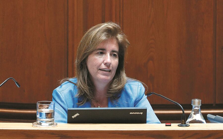 ana mendes godinho