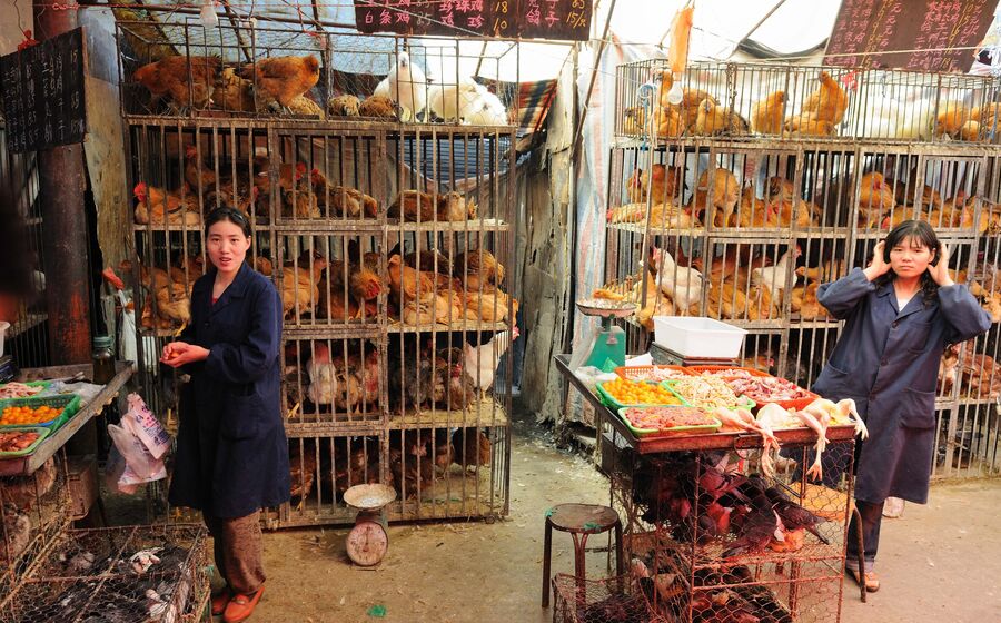 China, mercado