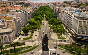 #deVoltaàAvenida: Comerciantes juntam-se para incentivar regresso à Av. Liberdade