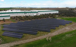 Engie Hemera instala 870 painéis solares na Nova Delta em Campo Maior