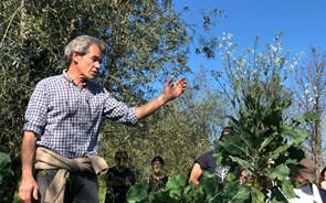 Alfredo Cunhal Sendim: “No Freixo do Meio partilhamos as colheitas com 180 famílias” 
