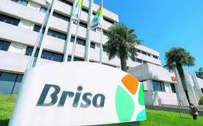 Brisa