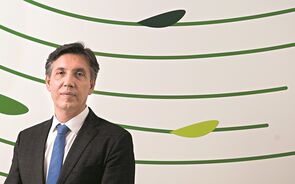 João Miranda Frulact 