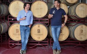 Paulo Nunes, António Boal, Costa Boal