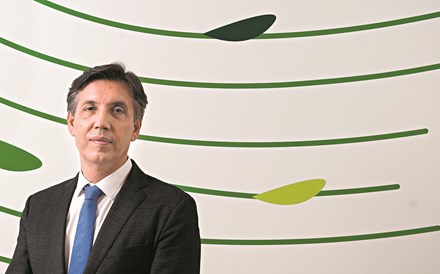 Frulact compra negócio de concorrente dos EUA