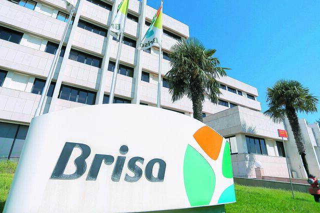 Brisa cria rede para carregar elétricos em longas distâncias