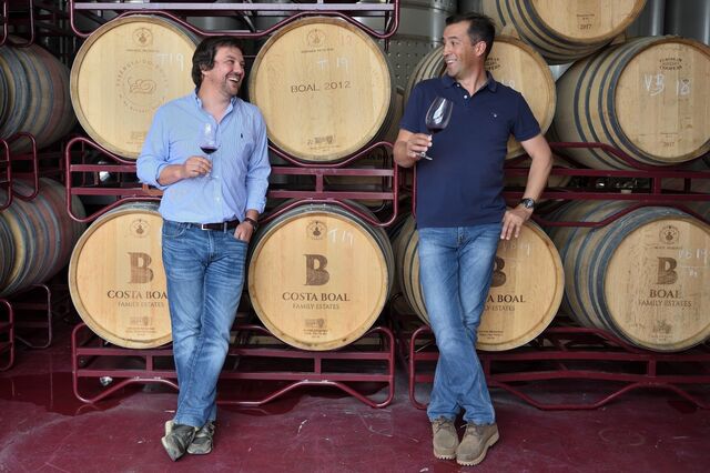 Costa Boal fecha acordo de distribuição de vinhos com Recheio