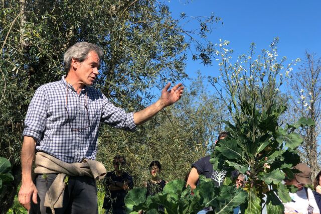 Alfredo Cunhal Sendim: “No Freixo do Meio partilhamos as colheitas com 180 famílias” 