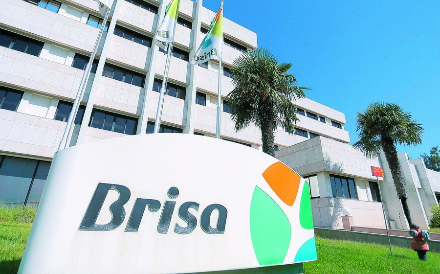 Brisa