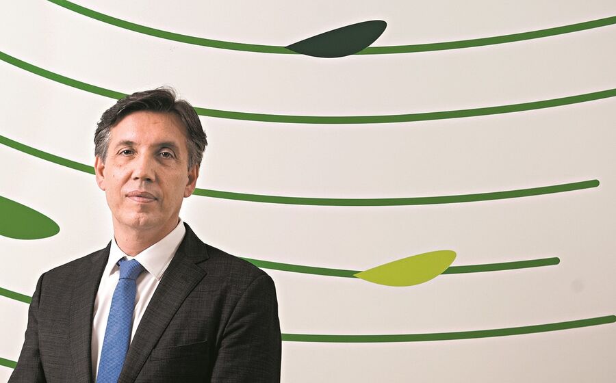 João Miranda Frulact 