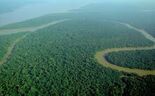 amazonia