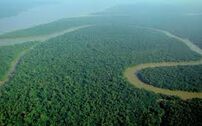 amazonia