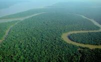 amazonia