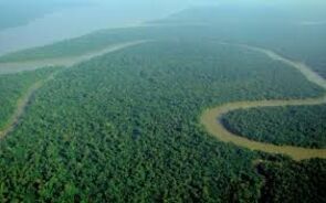 amazonia