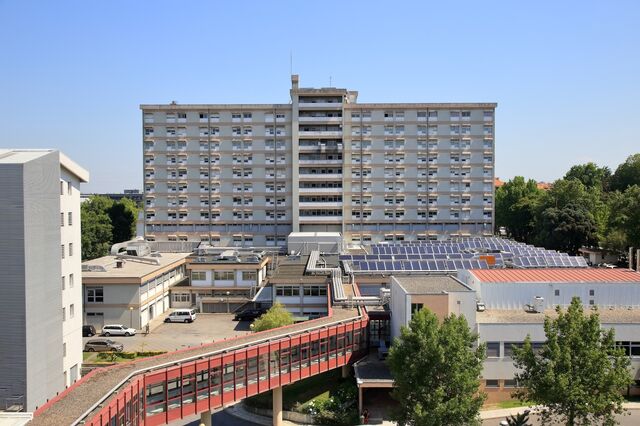 IPO do Porto investe 5,3 milhões para poupar e tornar-se mais verde 