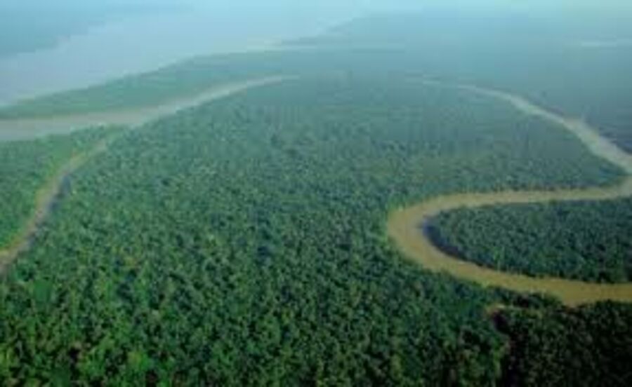 amazonia