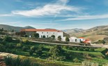 O Douro numa Quinta