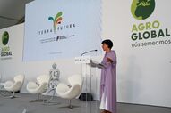 Maria do Céu Antunes