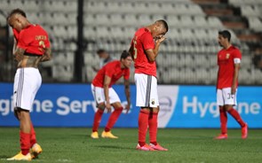 Benfica afunda mais de 4% em bolsa depois do adeus aos milhões da Champions