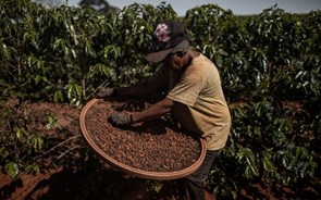 Com excesso de café, Brasil está sem espaço para armazenar grãos