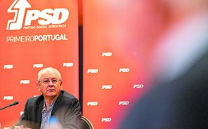 rui rio, psd