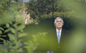 Pedro Rosa Ferro