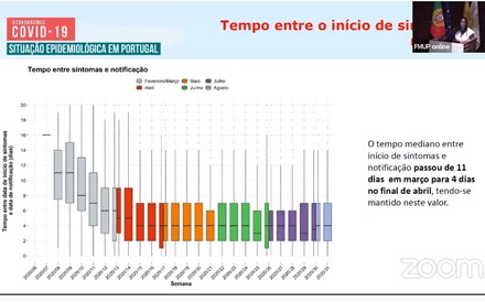 Vídeo em direto. Assista à 'reunião do Infarmed' sobre a evolução da covid-19 em Portugal 